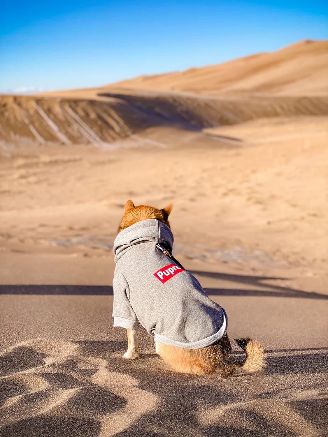 Pup Dog Hoodie & Sweater - Stylish Streetwear Cat & Puppy Cotton Sweatshirts in Gray - S, M, L