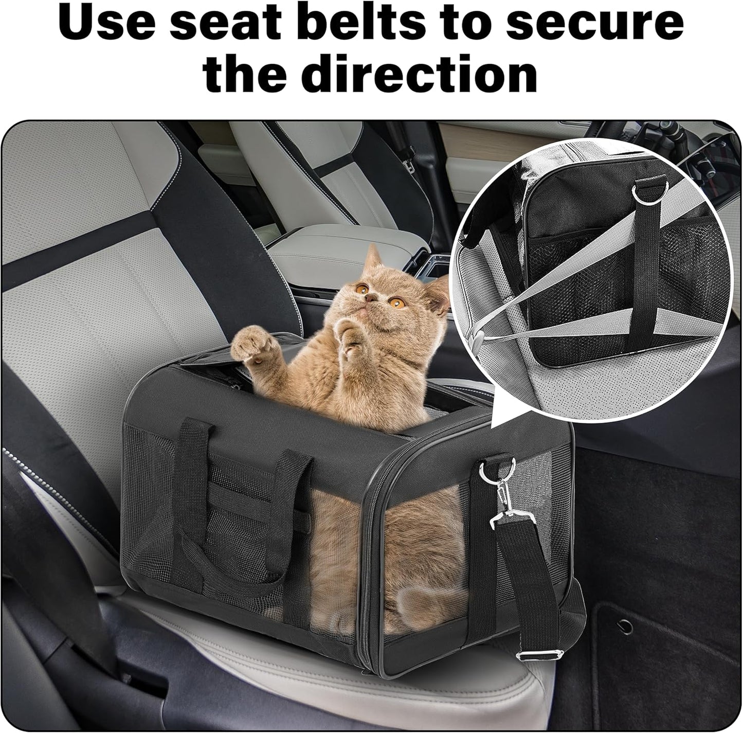 Soft-Sided Pet Travel Carrier for Cats and Small Dogs - Airline Approved, Collapsible, and Durable (Medium, Up to 17 lbs)