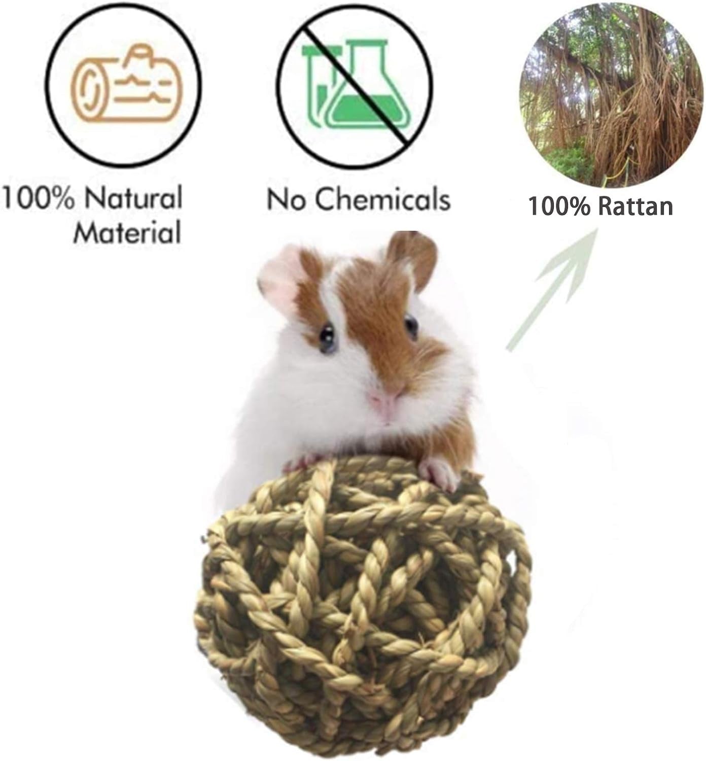 Hamster Chew Toys-11Pack Natural Wooden Dumbbells Exercise Bell Roller-Pine Guinea Pigs Rats Chinchillas Toys Accessories Teeth Care Molar Toy for Bunny Rabbits Gerbils,Brown